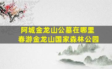 阿城金龙山公墓在哪里 春游金龙山国家森林公园